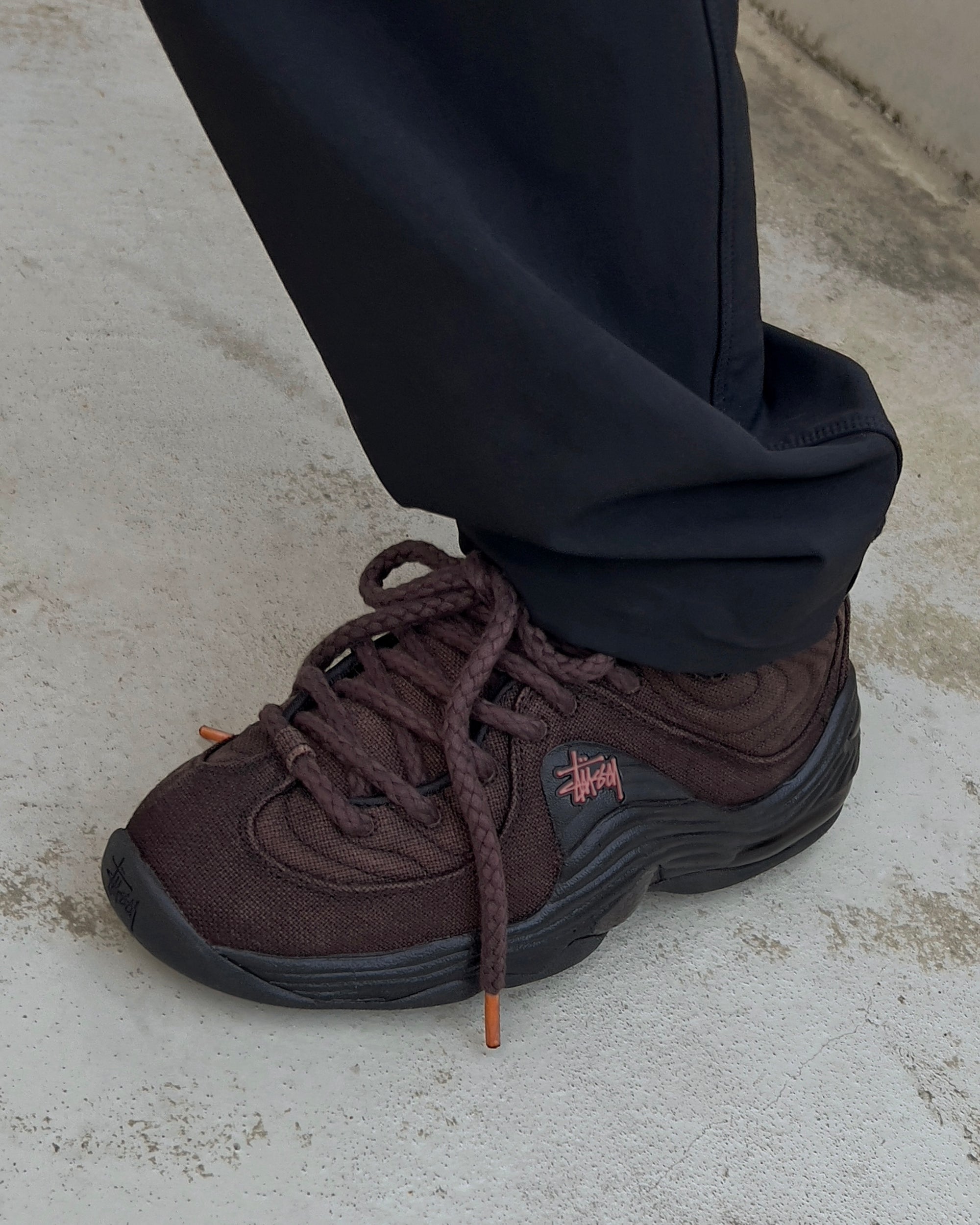 Air Penny 2 "Choclate"