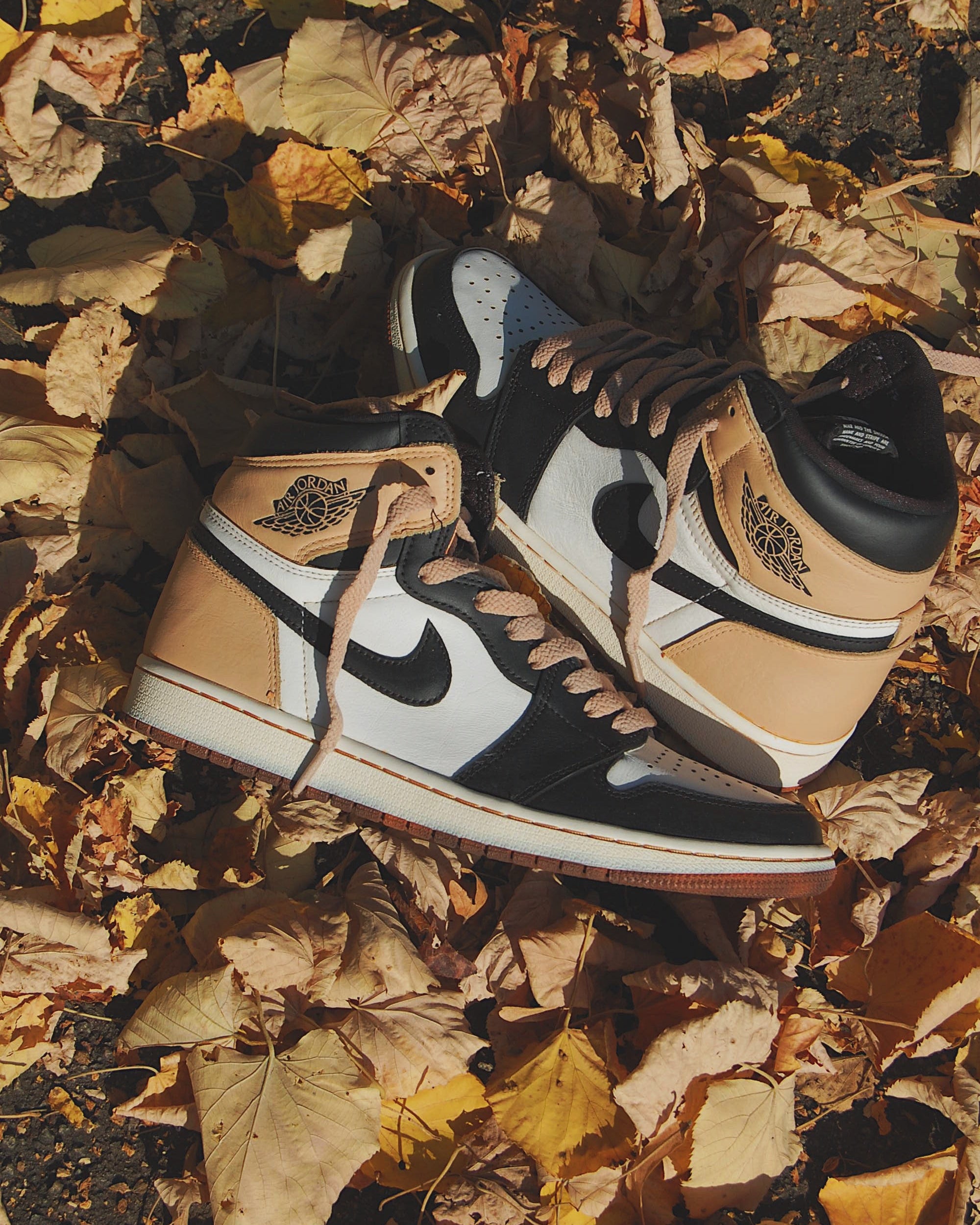 Air Jordan 1 High "Tan"